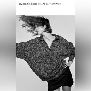 Zara Polo Knit